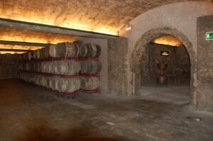 wine cellar, wine, spain, wine barrels, wine cellar, wine cellar, wine cellar, wine cellar, wine cellar