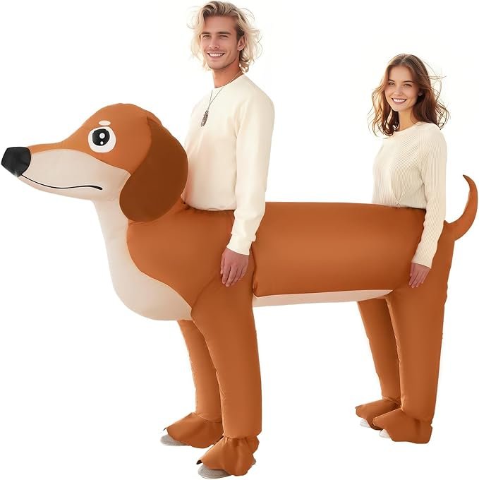 dachshund